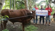 Penyerahan hewan Kurban PT Sumber Segara Primadaya (S2P)