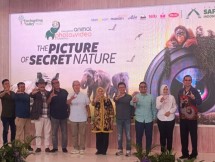 34 Tahun Konsisten Suarakan Konservasi Lewat Karya Visual, Taman Safari Kembali Gelar International Animal Photo & Video Competition
