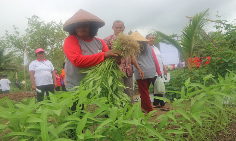 Pembinaan Petani Wanita